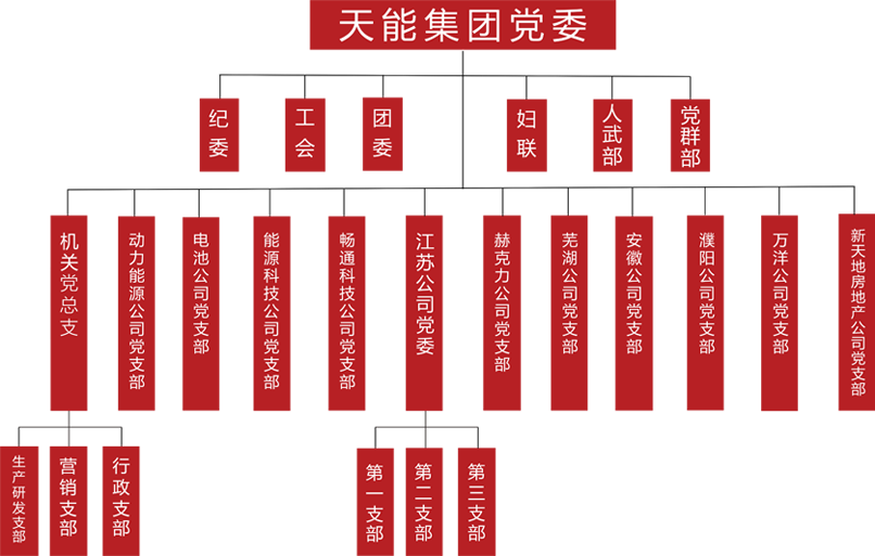 纽约国际588888建团党委组织架构